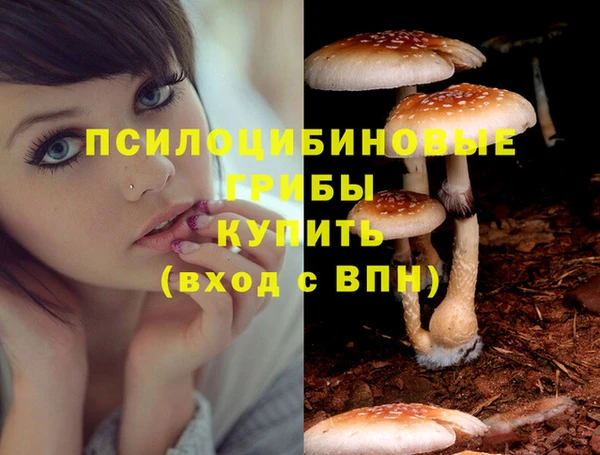 mdpv Аркадак